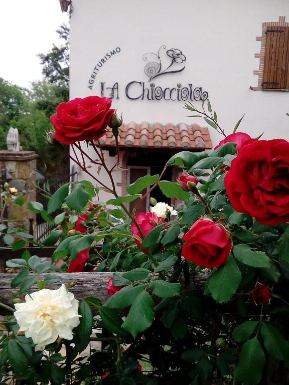 Vonkajšia záhrada v ubytovaní Agriturismo La Chiocciola