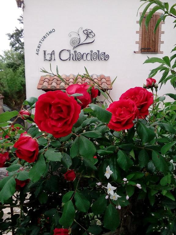 Vonkajšia záhrada v ubytovaní Agriturismo La Chiocciola