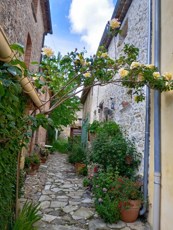 Une allée avec des fleurs et des plantes dans un vieux bâtiment dans l'établissement Maison dans hameau provençal, au Luc