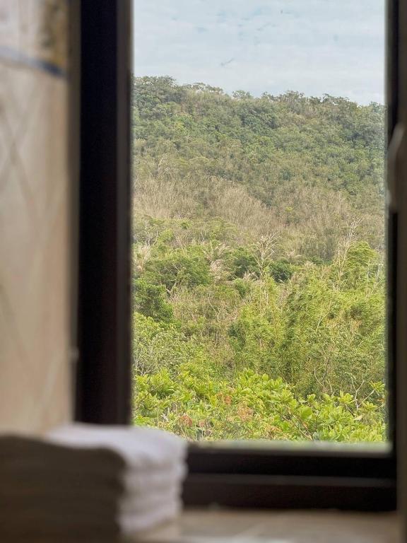 a window with a view of a forest at E-Ping Castle Hotel in Nanwan