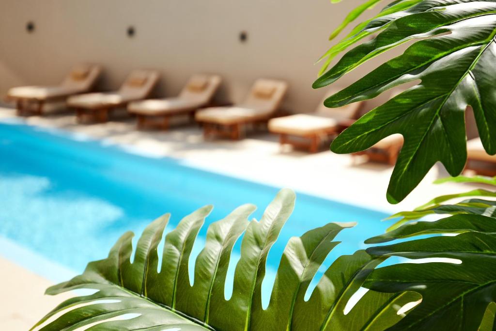 Bazén v ubytování Lotus Rise Hotel - Adults Only nebo v jeho okolí
