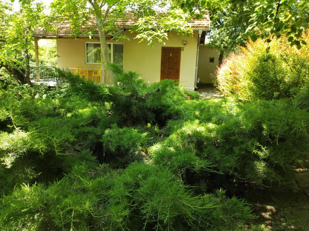 Κήπος έξω από το A charming and peaceful summer villa 400m from the sea