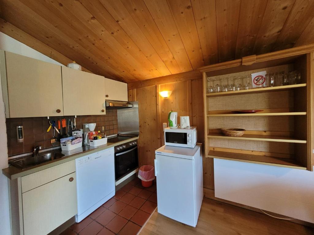 Kuchyňa alebo kuchynka v ubytovaní Waterfront Apartments Zell am See - Steinbock Lodges