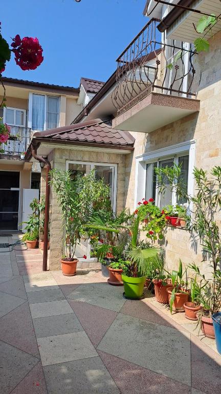 a bunch of potted plants in front of a building at Casa Sara in Eforie Nord
