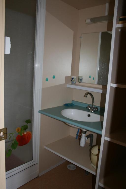 a bathroom with a sink and a mirror at La Ptite Ferme de Caro in Meyrignac-lʼÉglise