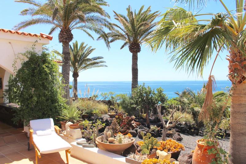 a garden with palm trees and plants and the ocean at villa jardin al mar in Playa Jandia