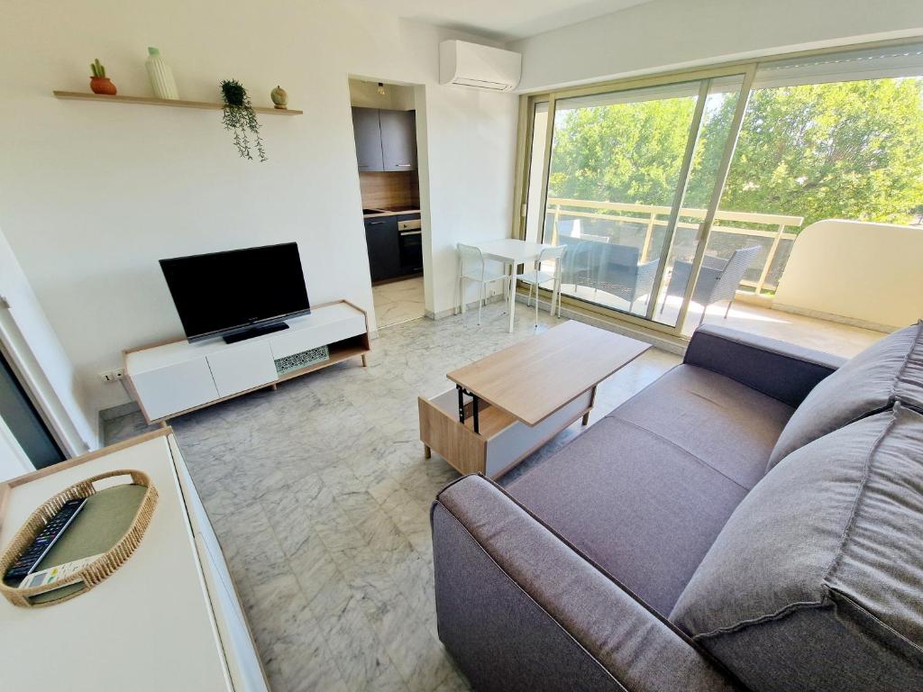 un salon avec un canapé et une télévision dans l'établissement Studio Anthala Antibes proche centre avec accès piscine, à Antibes