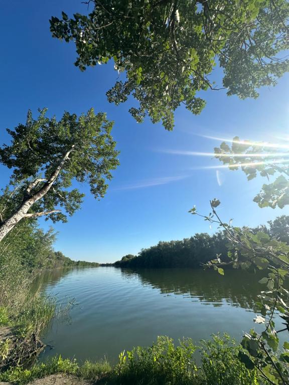 a view of a lake with trees on the shore at Park home Uralsk in Uralsk