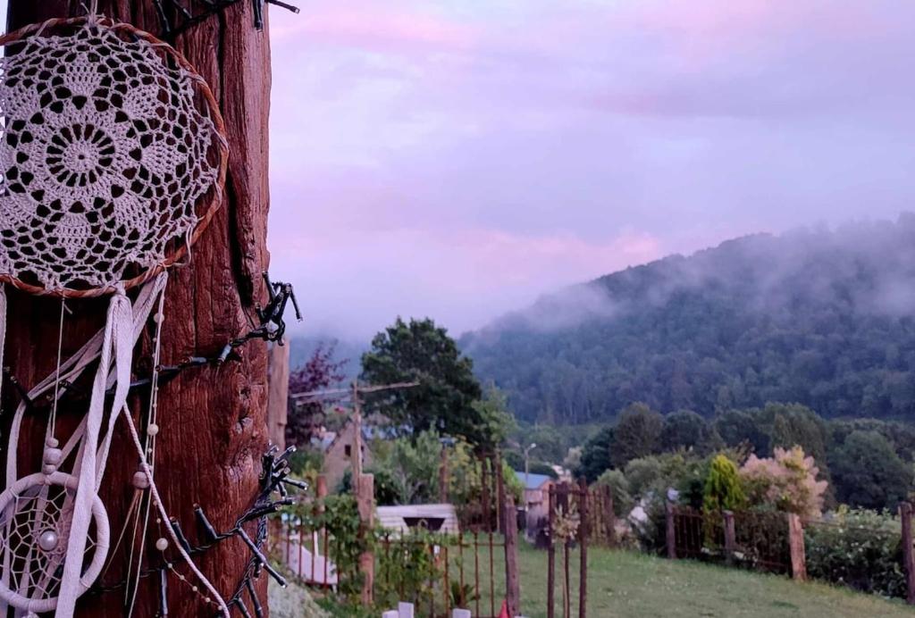 a vineyard with a fence and a net at La Chambre aux Pommes - Poupehan sur Semois in Bouillon