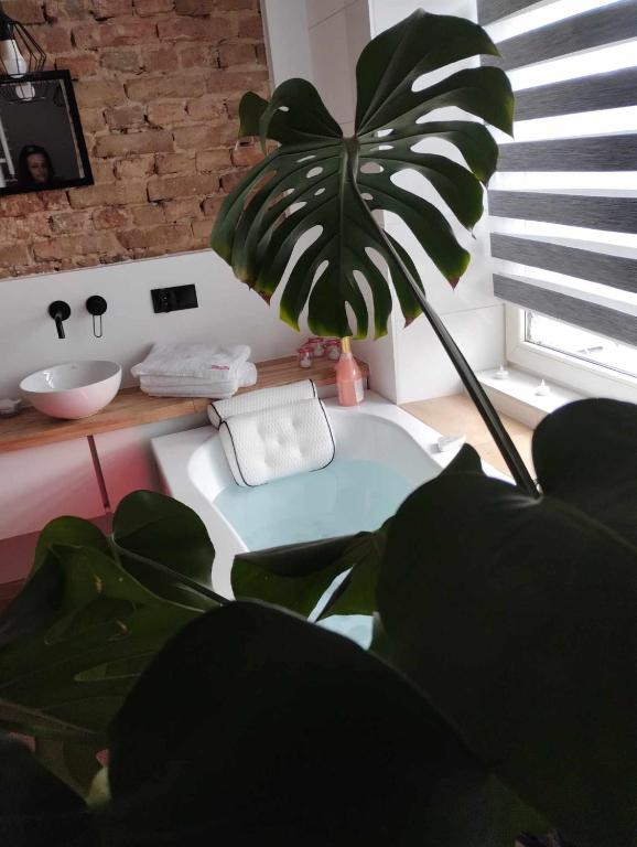 a green plant in a room with a counter and a plant at Apartment romantyczny SAKURA in Jędrzejów