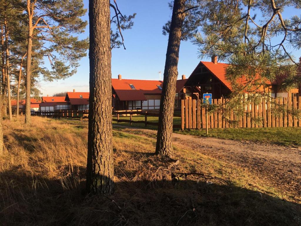 a log cabin with a fence and two trees at Nowoczesny dom wakacyjny "Sole" nad jeziorem Gwiazdy, Ostoja Bukowo, Borowy Młyn, Kaszuby, region Gochy, z dala od miasta, dookoła lasy in Borowy Młyn