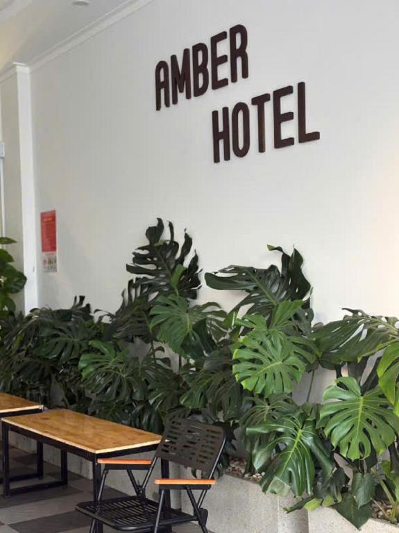 Bố cục Amber Hotel
