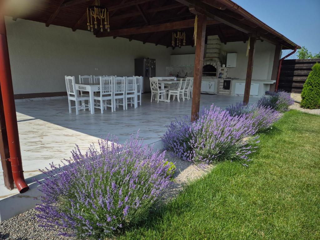 Zahrada ubytování CASA RIZEA