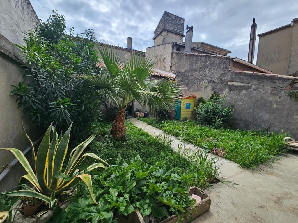 un jardin avec des palmiers et des plantes à côté d'un bâtiment dans l'établissement Chez Marie, à Graveson