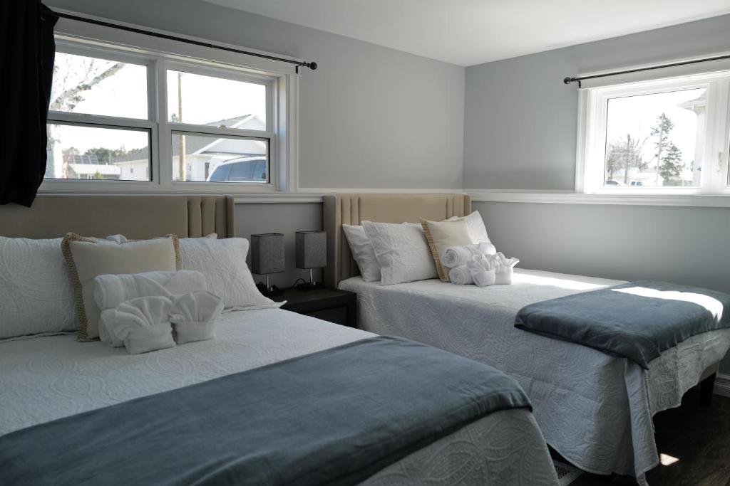two beds in a room with two windows at Bright 2-Room Guest Space in Stratford in Stratford