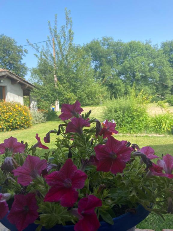 Zahrada ubytování chambre deux personnes, lit pour Bébé