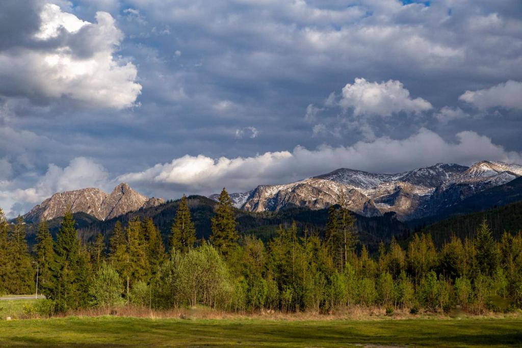 Leśniczówka u Zięby - 12