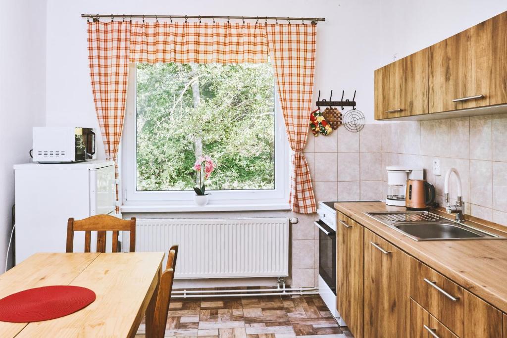 Kuchyň nebo kuchyňský kout v ubytování Apartmány Pod Přehradou