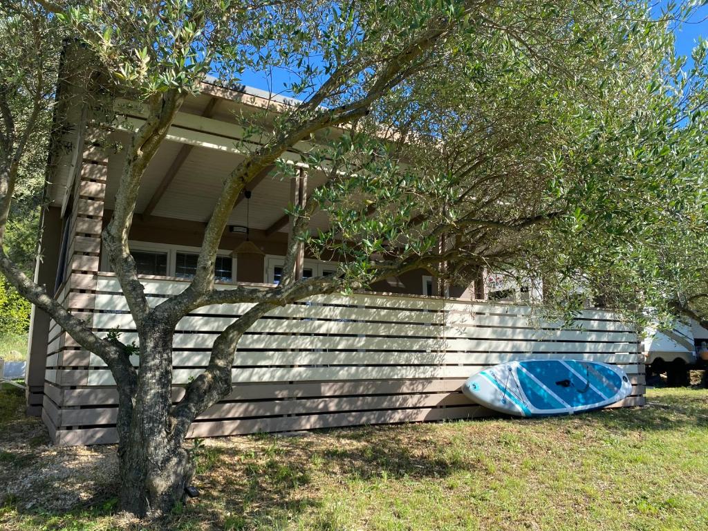 Solana, Drage (aktualisierte Preise für 2026)