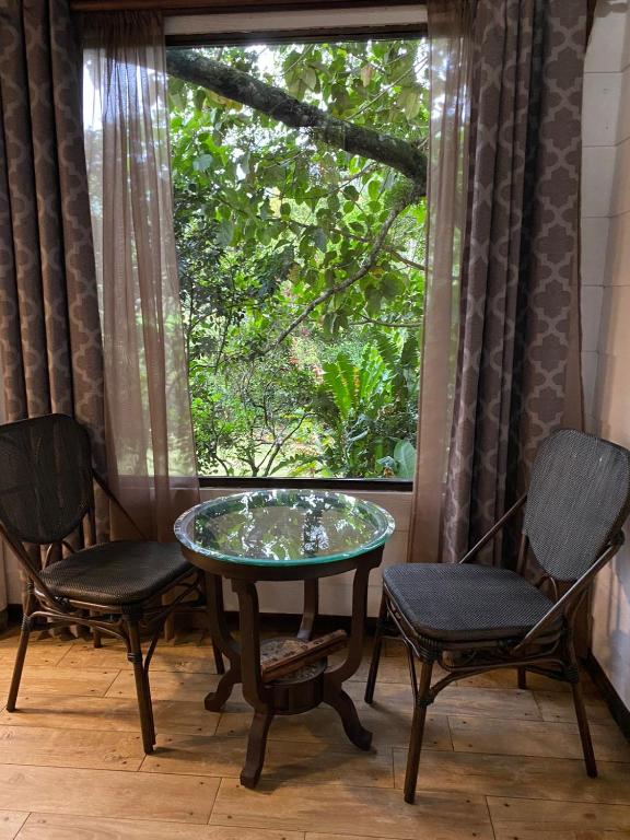 Zahrada ubytování Jicote finca de ecoturismo