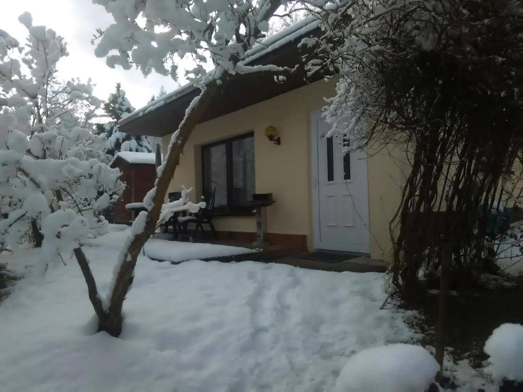 Gemütlich Und Modern Eingerichtetes Ferienhaus Mit Terrasse Im Herzen Des Erzgebirges v zimě
