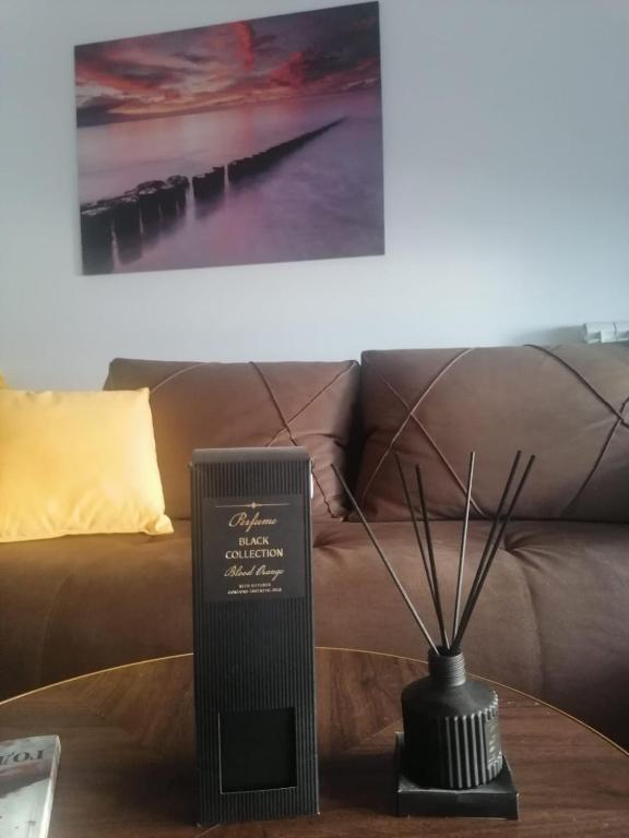 Fotografie z fotogalerie ubytování Viva apartment in condominium v destinaci Voždivac