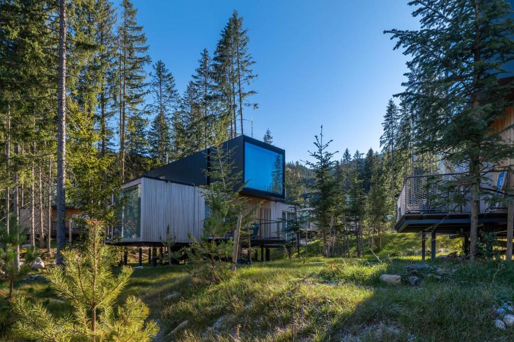 Příroda nedaleko hotelu Björnson Tree Houses