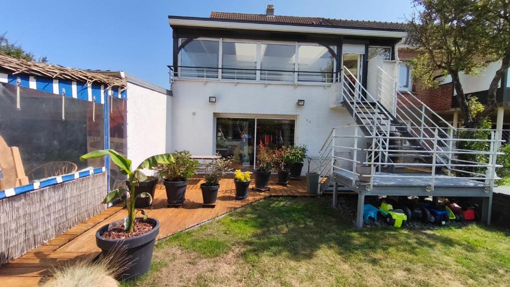 une maison avec des plantes en pot dans la cour dans l'établissement Bololo House, à Leffrinckoucke