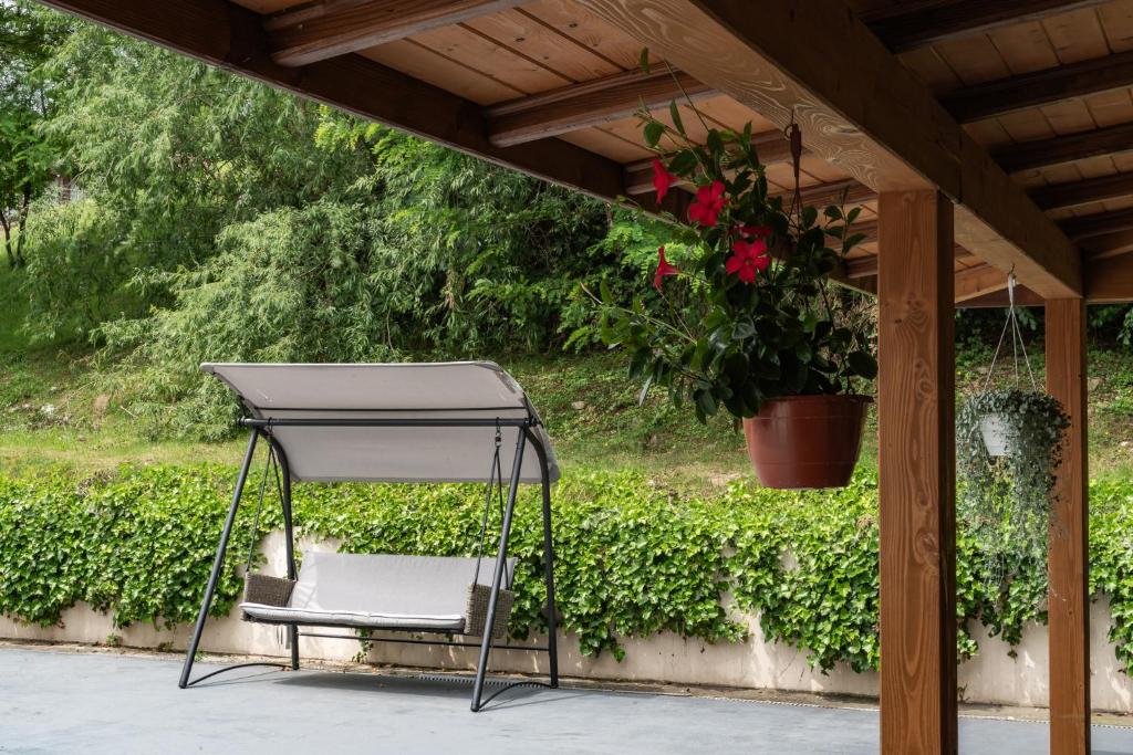 Covered patio swing bench under wooden pergola, hanging flower pots and green hedge backdrop.