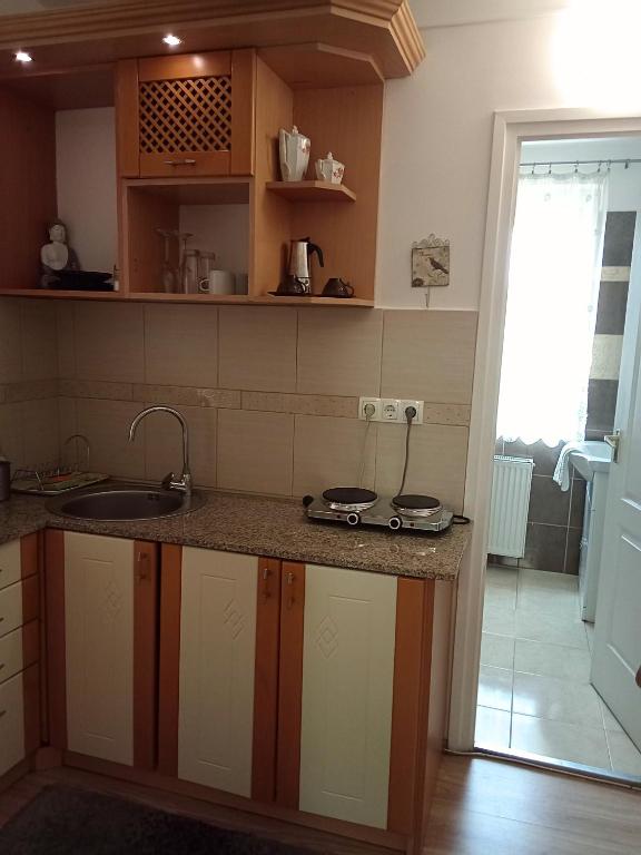 Kuchyň nebo kuchyňský kout v ubytování Orient Apartmanház