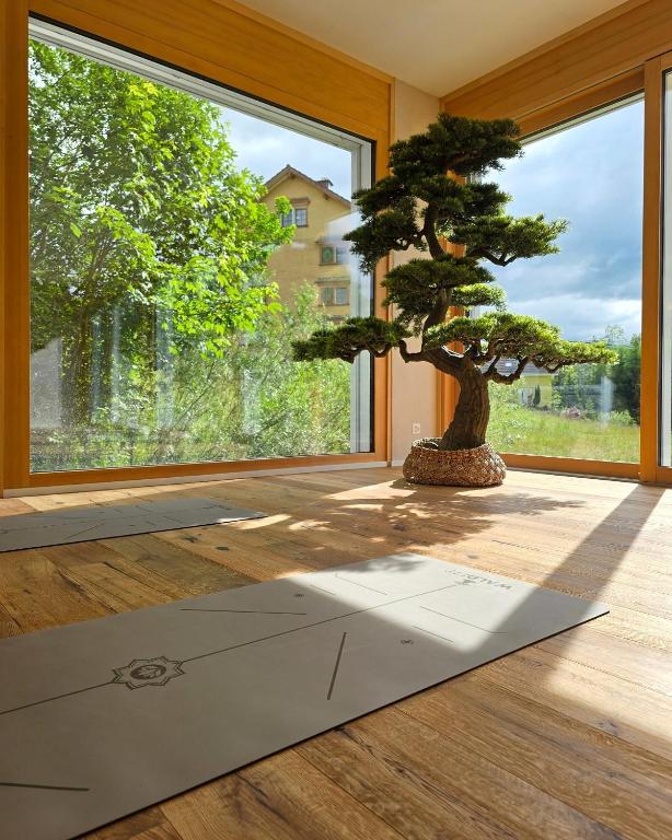 Fotografie z fotogalerie ubytování Appartment 2 Bedrooms, 1 Living room & Yoga-Studio 220m2 v destinaci Waldstatt