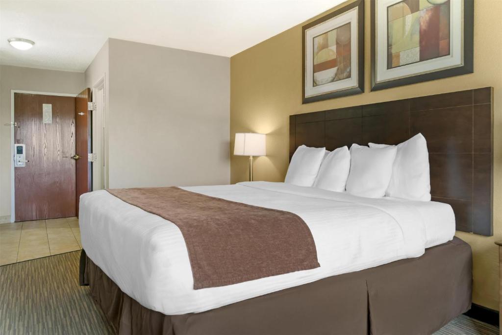 Best Western Port Huron Blue Water Bridge - King Room With River View - Non Smoking