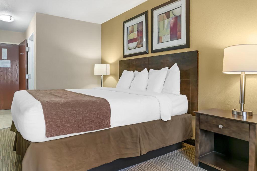 Best Western Port Huron Blue Water Bridge - King Room - Non-Smoking