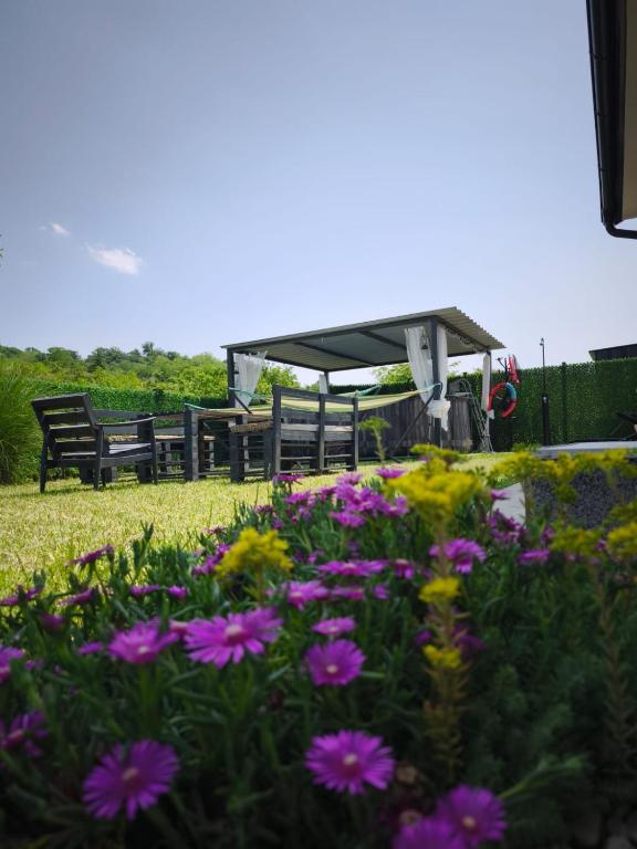 Zahrada ubytování Oaza Spa Fruska Gora