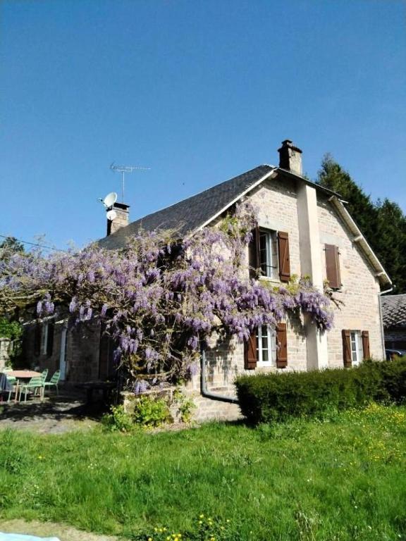une maison avec un arbre en fleurs devant dans l'établissement Gîte de France Le cantou des mille sources 3 épis - Gîte de France 8 personnes MAE-0234, à Sarran