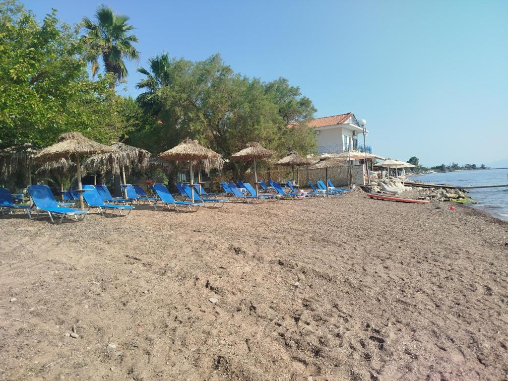 Příroda nedaleko apartmánu