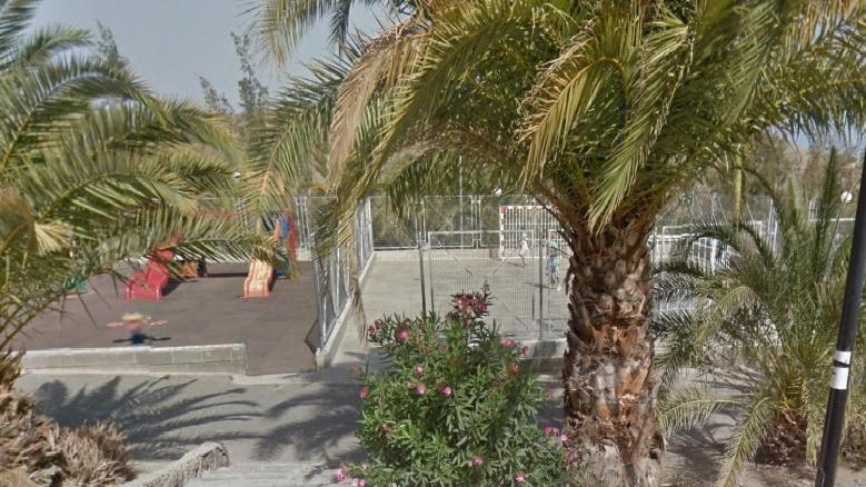 a palm tree in a park with a playground at Apartamento Acoran in La Playa de Arguineguín