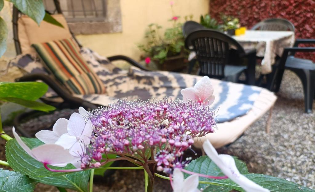 Il giardino segreto - 2