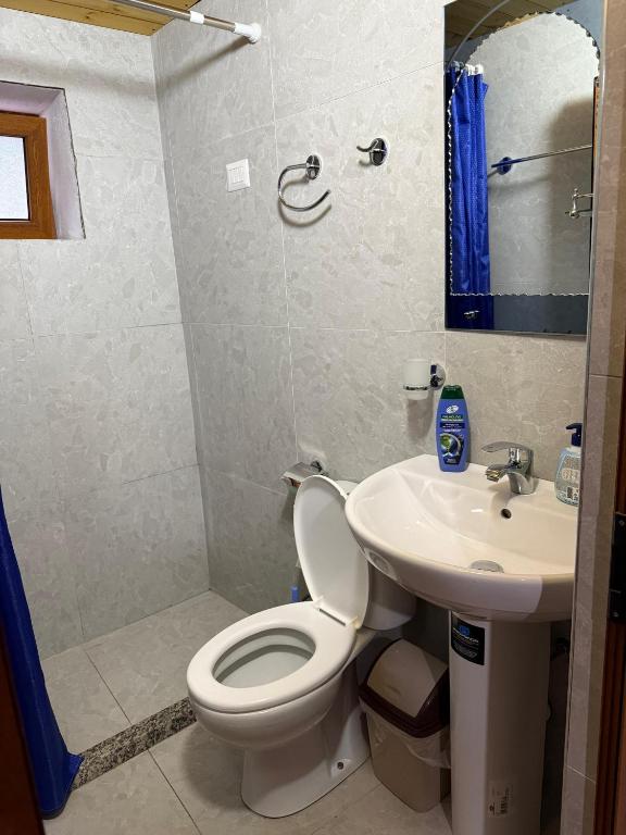 Koupelna v ubytování Guesthouse Te Tata