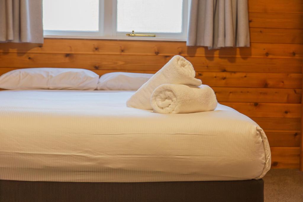 The Turoa Lodge Ohakune - Resim 4