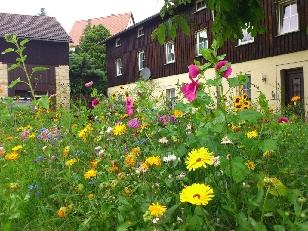 Zahrada ubytování Cosy Apartment in Weißig with Garden