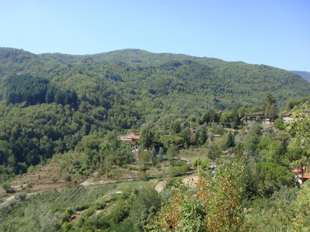 Príroda v okolí vily