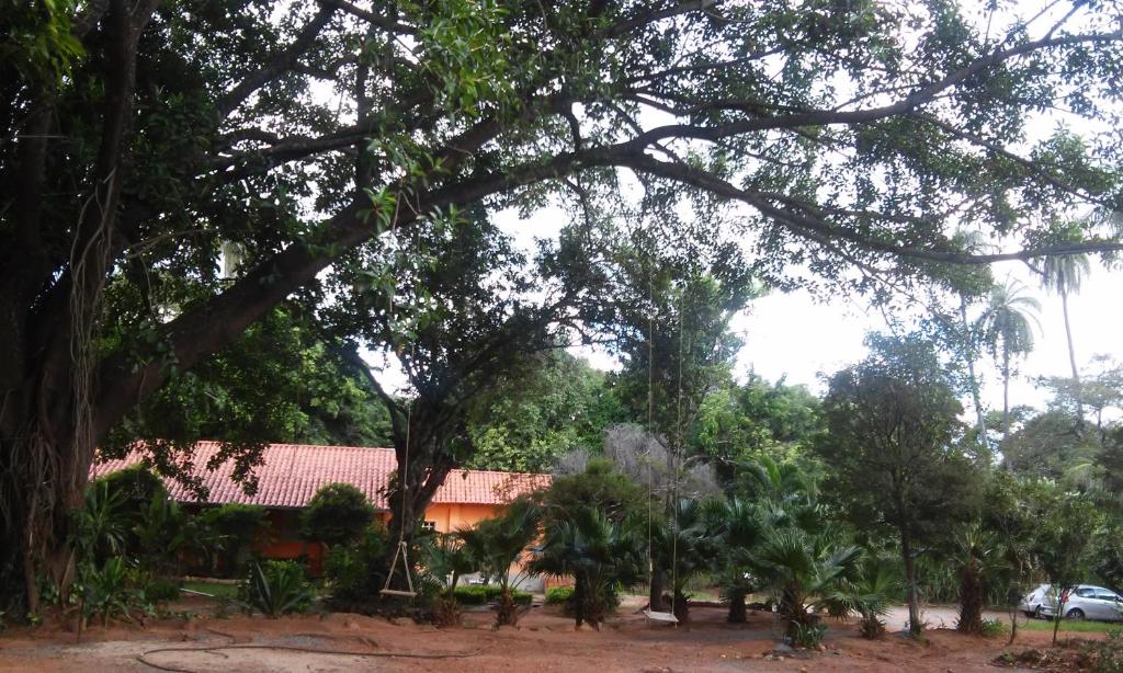  Pousada Flor de Cipó