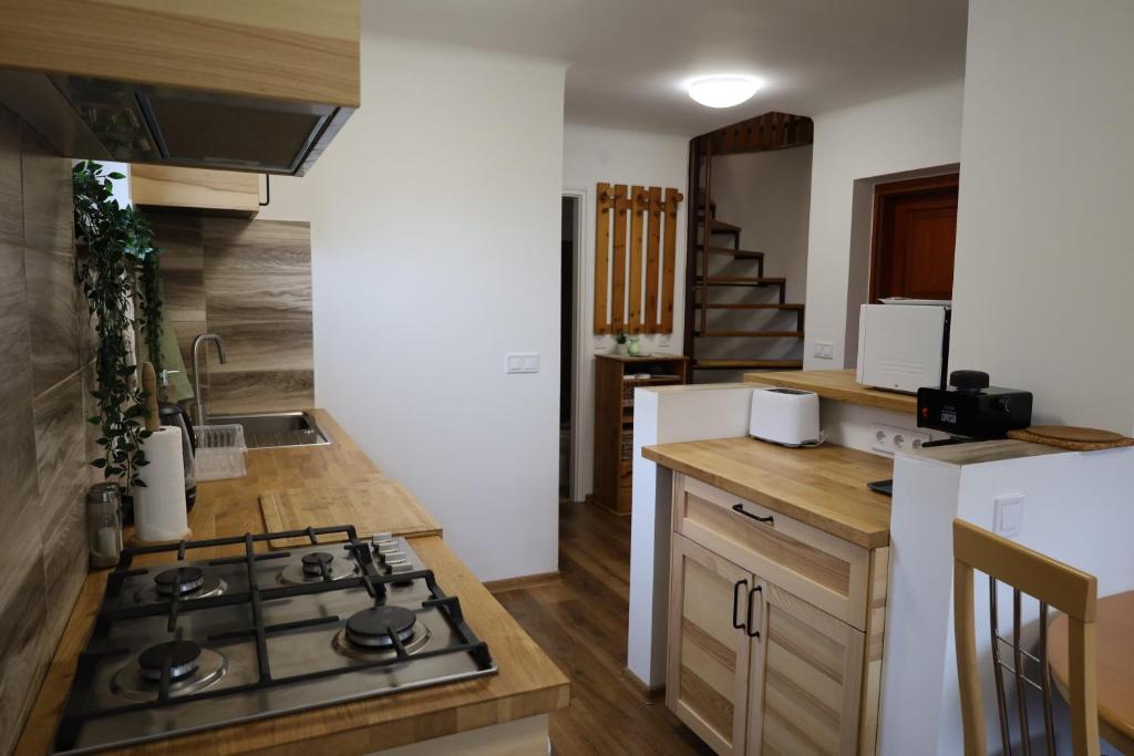 Kuchyň nebo kuchyňský kout v ubytování Hamvas Vendégház Tiszakécske