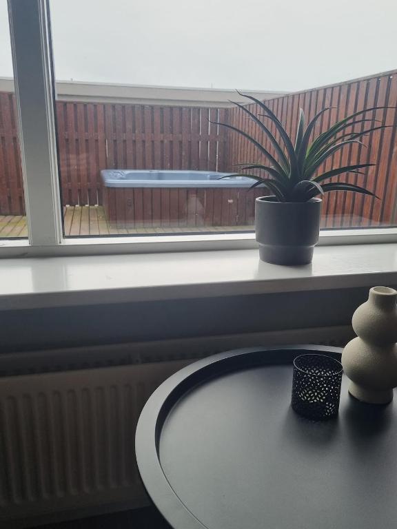 Fotografie z fotogalerie ubytování Grindavik Apartment v destinaci Grindavík
