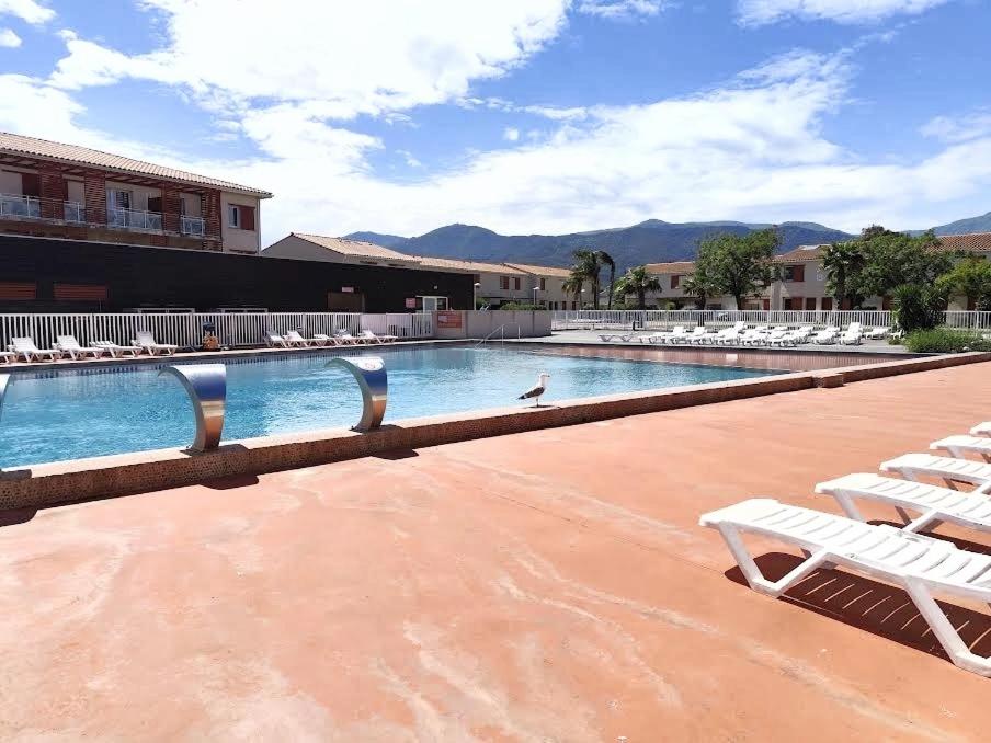 a swimming pool with white lounge chairs in a resort at Apartment 4-6 personnes avec Piscine Demeure De la Massane in Argelès-sur-Mer