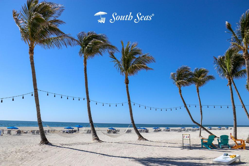 a group of palm trees on a sandy beach at South Seas Resort - Official Site in Captiva
