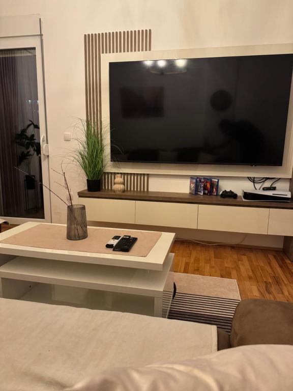 TV a/nebo společenská místnost v ubytování Apartman Golden Crown