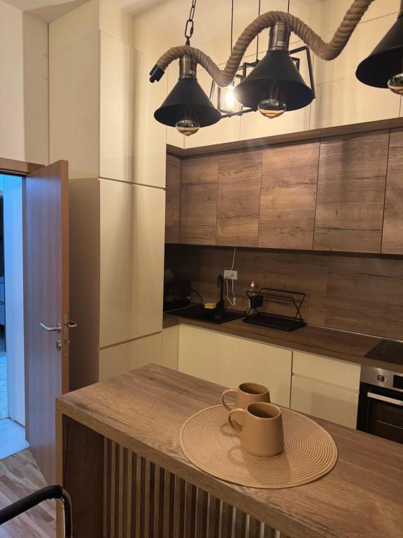Kuchyň nebo kuchyňský kout v ubytování Apartman Golden Crown