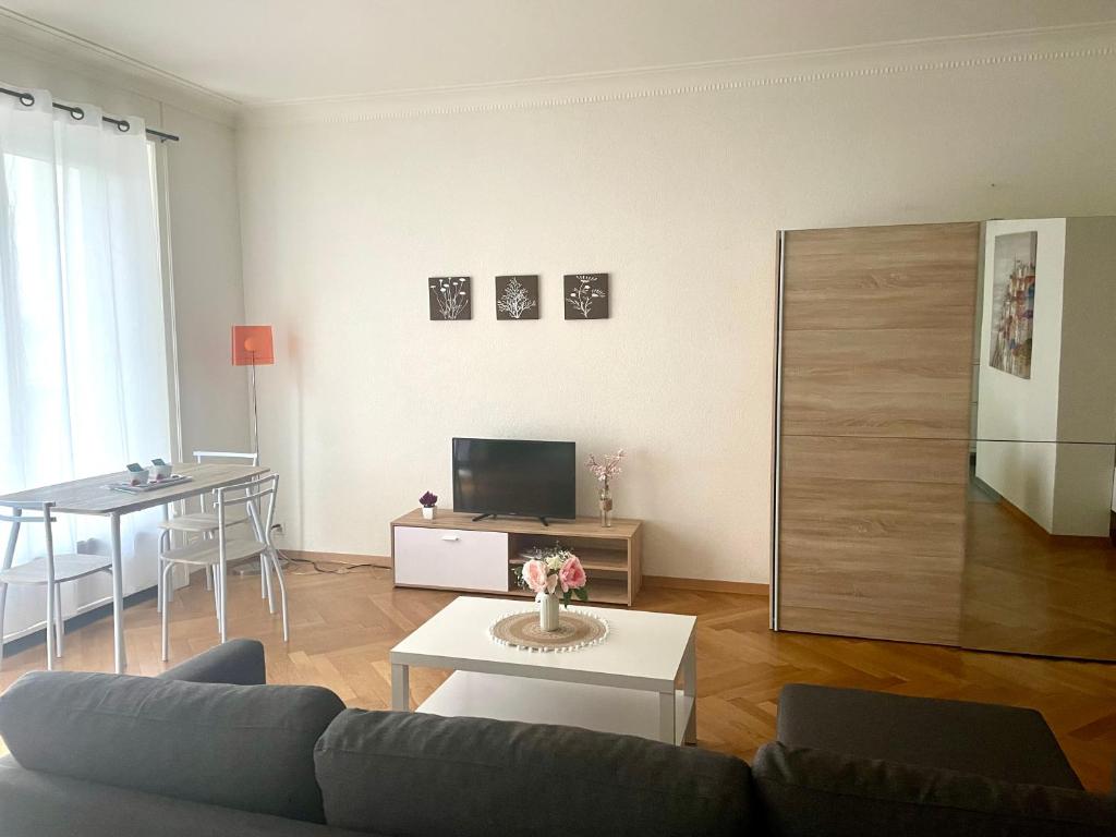 Fully Furnished down town- 5 minutes from Lausanne Train station - Resim 9